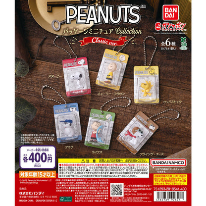 Snoopy Empaquetado Llavero Gashapon | Packaging Charm Collection
