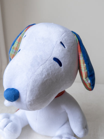 Snoopy Azul Cuadros Peluche