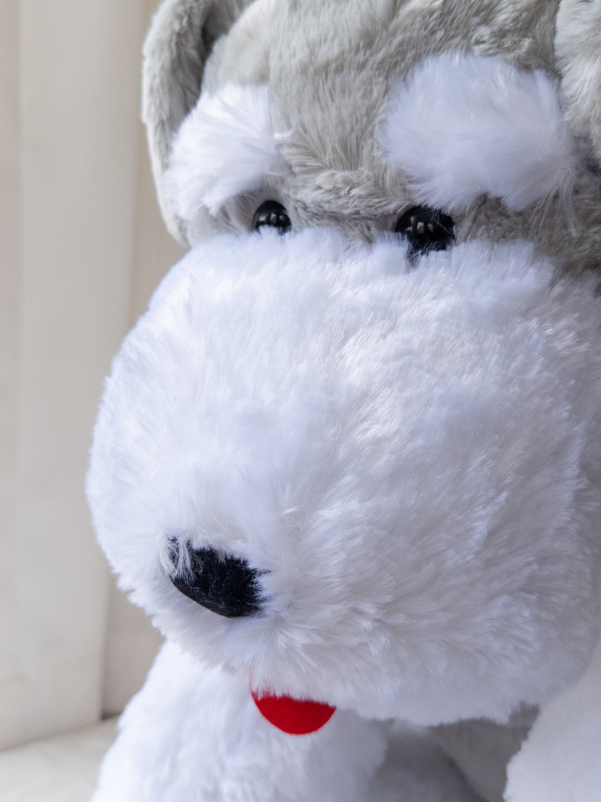 Shuna y Bob Peluche Grande | Schnauzer