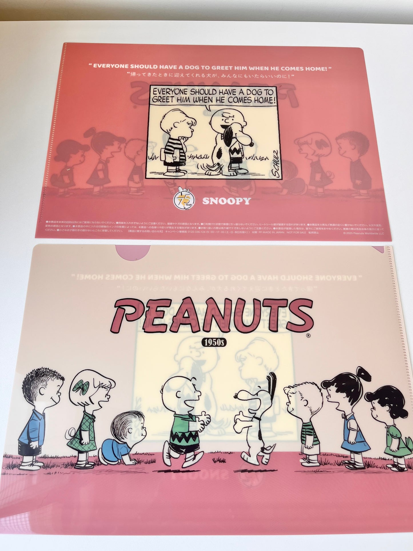 Snoopy File A4 © Peanuts