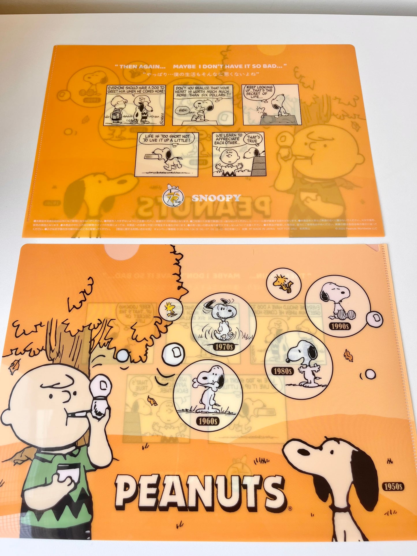 Snoopy File A4 © Peanuts