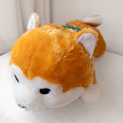 Shiba Inu Perrito Mameshiba Peluche Grande