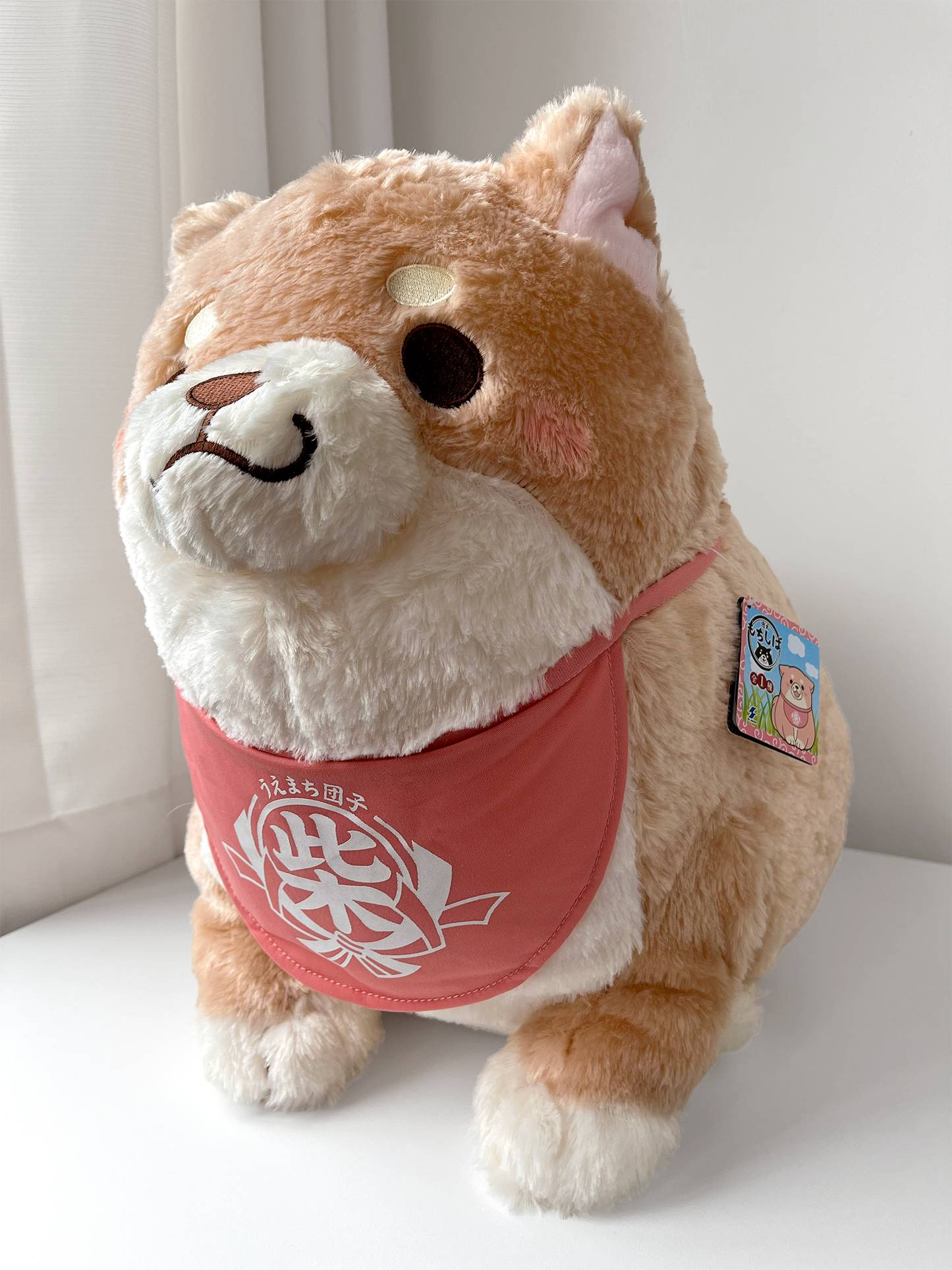 Shiba Inu Peluche Gigante Kawaii 🐶