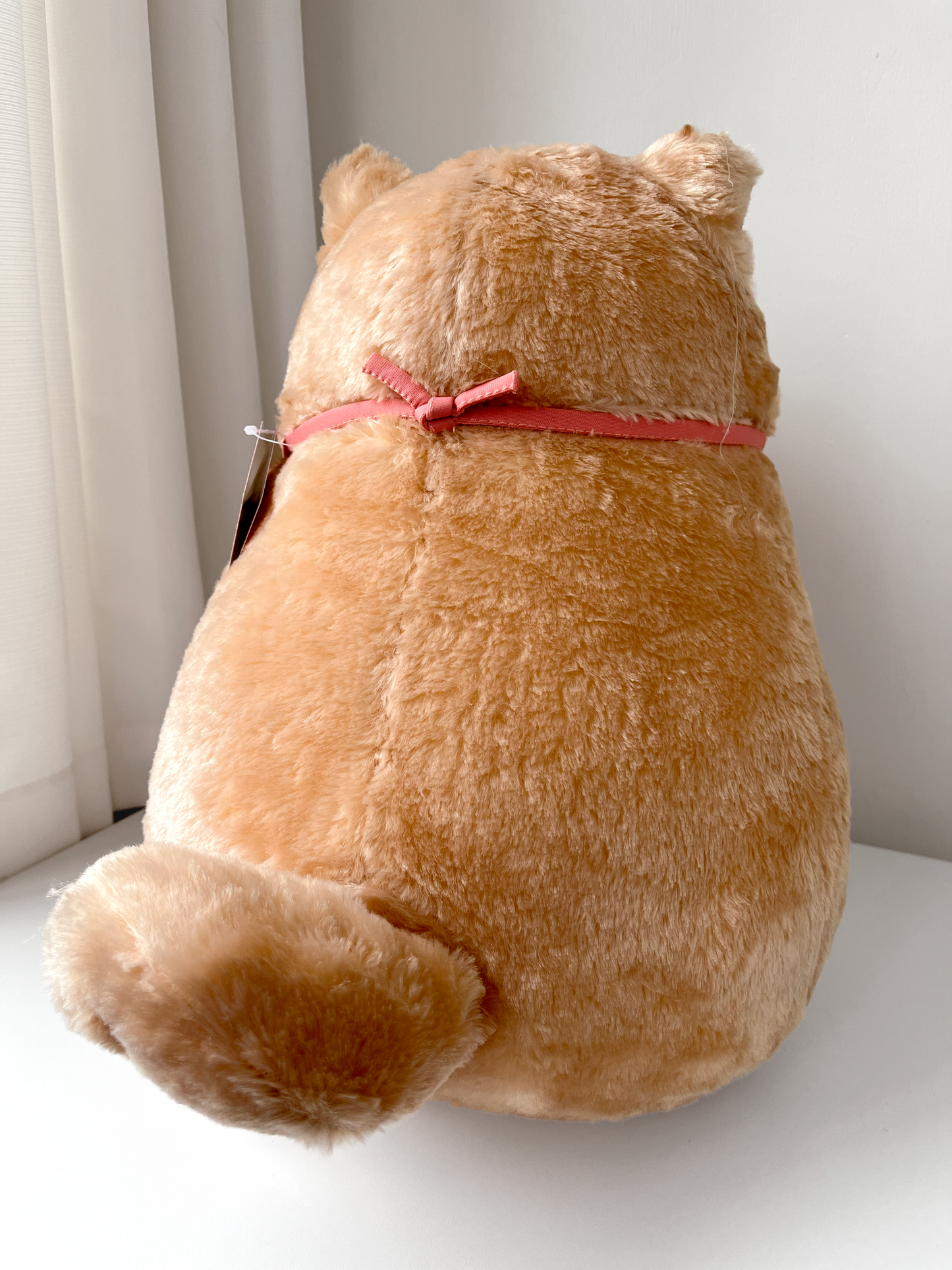 Shiba Inu Peluche Gigante Kawaii 🐶
