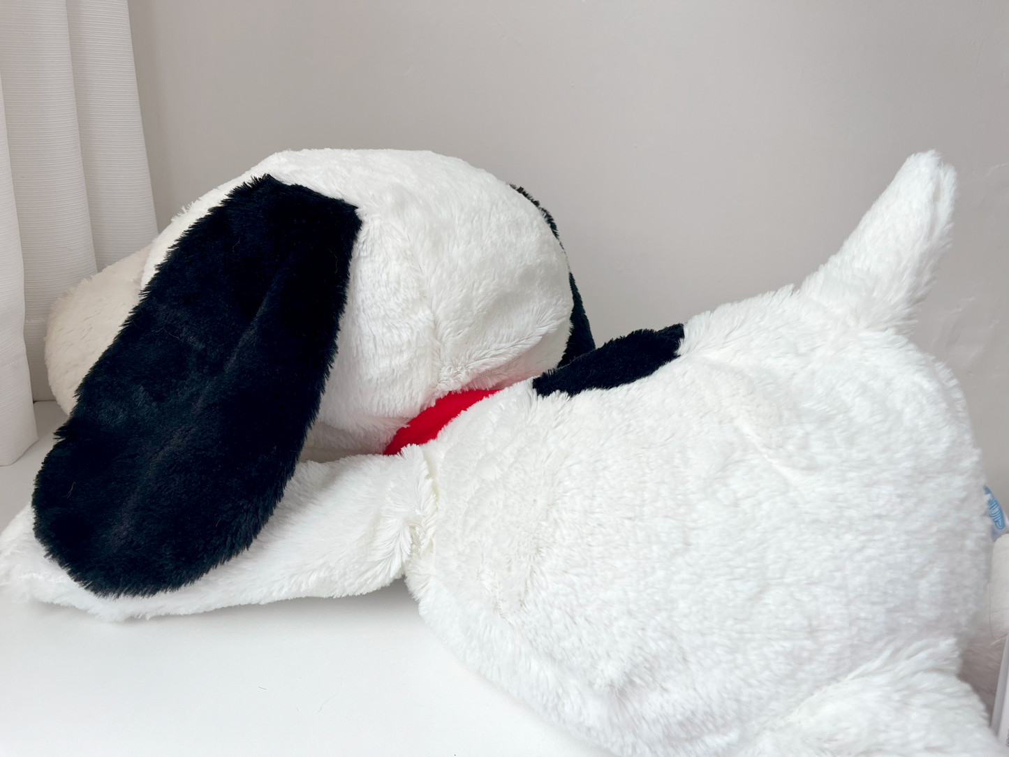 Snoopy Gigante XL Peluche 🐾 © Peanuts