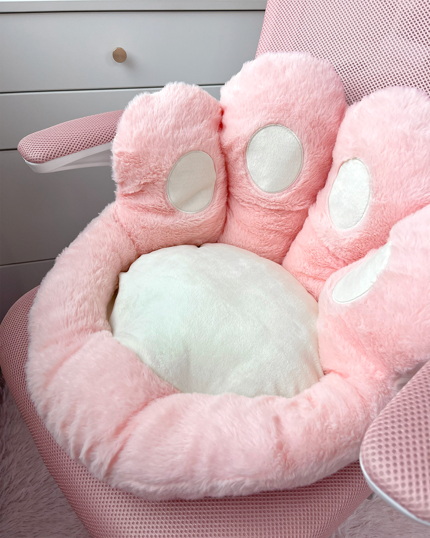 Patita de Gato Cojín 🐾